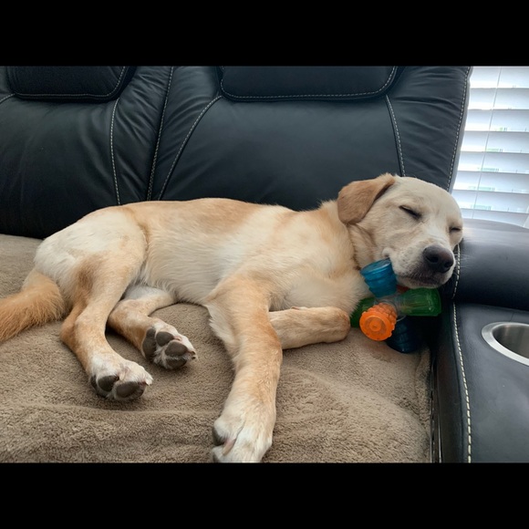 Meet your Posher, Brix, Tec & Trip - Picture 2 of 9